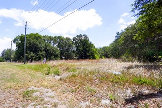 Plus de détails pour 11769 US HWY 301, Riverview, FL - Terrain à vendre
