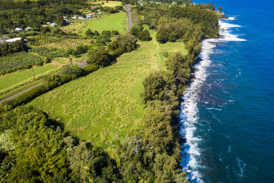 293818 Hawaii Belt Rd, Hakalau, HI for sale - Primary Photo - Image 1 of 1