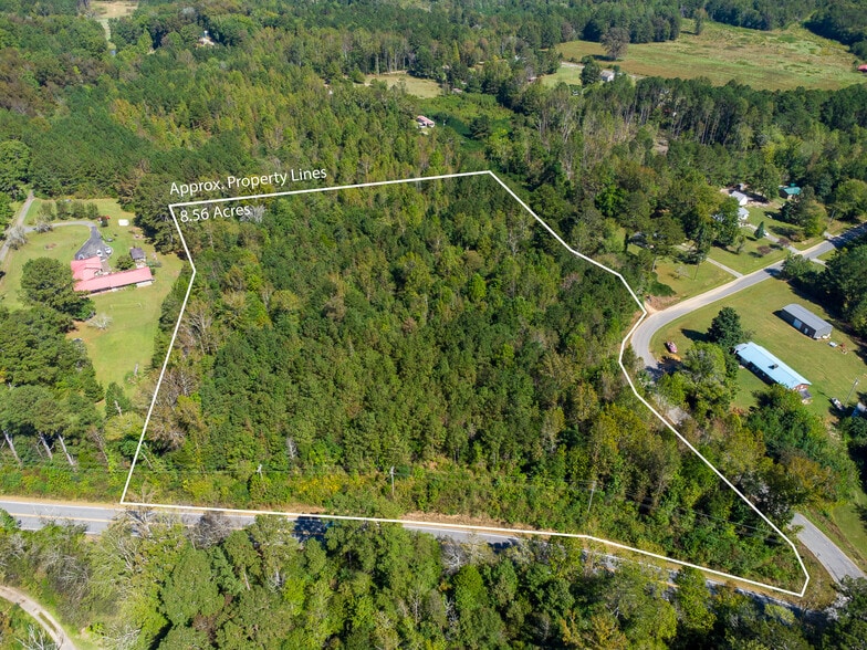 00 Hwy 411 hwy, Tennga, GA à vendre - Photo du bâtiment - Image 3 de 9