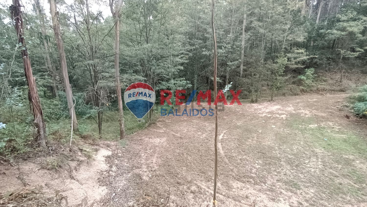 Land in O Porriño, Pontevedra for sale Primary Photo- Image 1 of 10