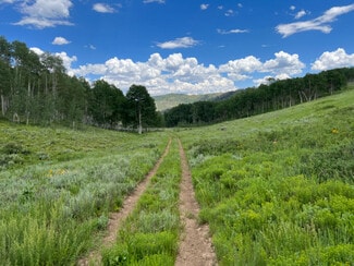 More details for Skyline Drive, Fairview, UT - Land for Sale