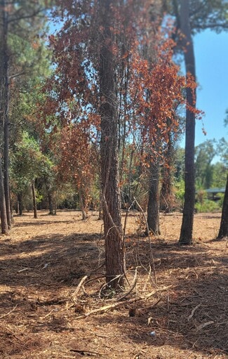 More details for Crawfordville Highway, Crawfordville, FL - Land for Sale