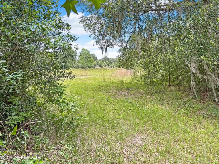 0 Black Creek Dr, Middleburg, FL à vendre - Photo du bâtiment - Image 3 de 10