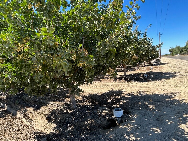 10431 S Bethel Ave, Selma, CA à vendre - Photo du bâtiment - Image 2 de 27