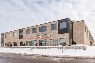 Plus de détails pour 310-350 Rue Ness, Montréal, QC - Flex à vendre