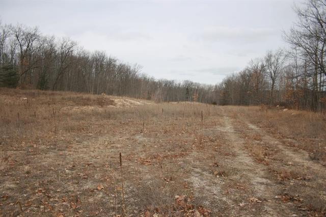 6.1 Acres N Clare Ave, Harrison, MI for sale - Primary Photo - Image 1 of 8
