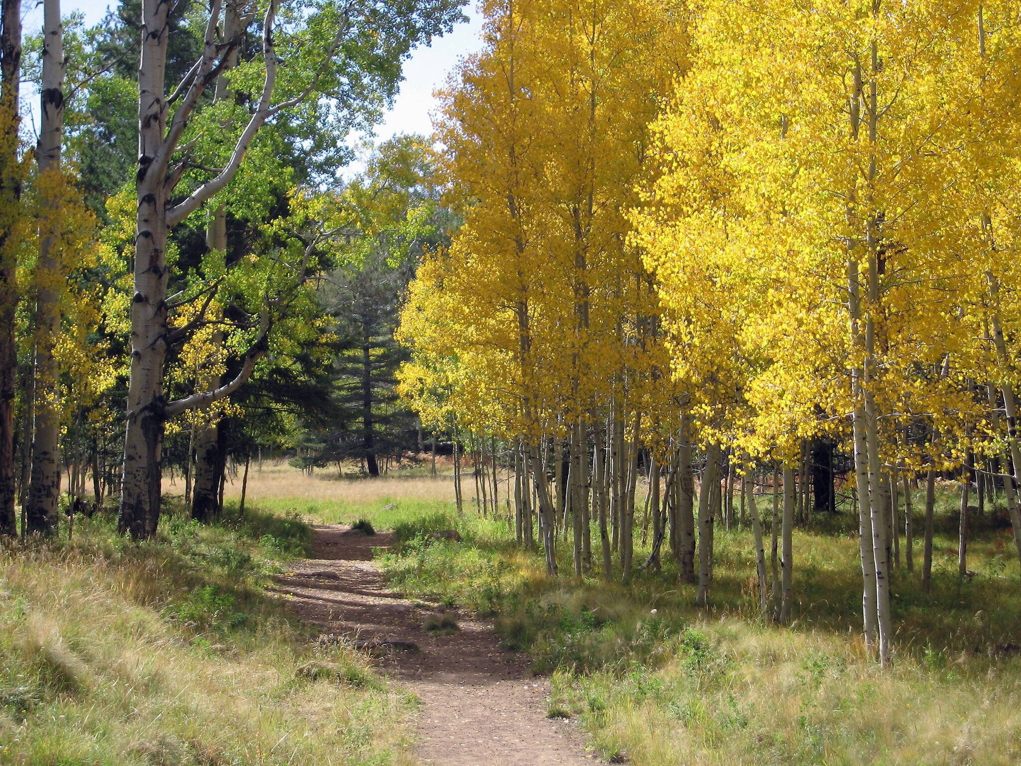 456 John Wesley Powell Boulevard Blvd, Flagstaff, AZ à louer Photo du b timent- Image 1 de 6