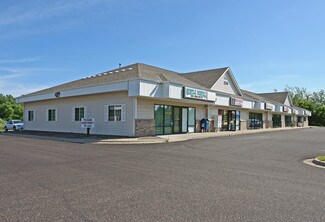 Plus de détails pour 255 Highway 97, Forest Lake, MN - Commerce de détail à vendre