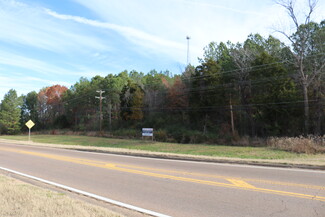 Plus de détails pour 7 Highway 7, Holly Springs, MS - Terrain à vendre