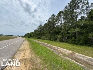 Plus de détails pour 0 Dead Lake Rd., Creola, AL - Terrain à vendre