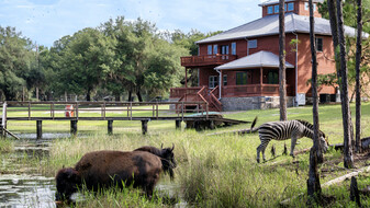 7 C's Hunting Ranch & Lodge - Motel