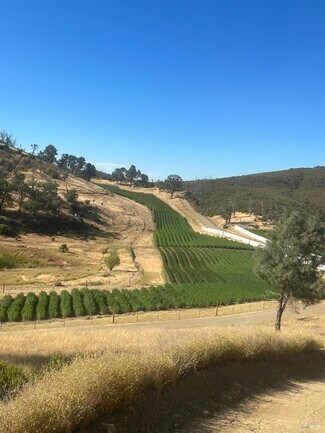 Plus de détails pour 21506 Morgan Valley Rd, Lower Lake, CA - Industriel à vendre