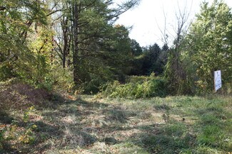 Plus de détails pour Constitution Blvd, Beaver Falls, PA - Terrain à vendre