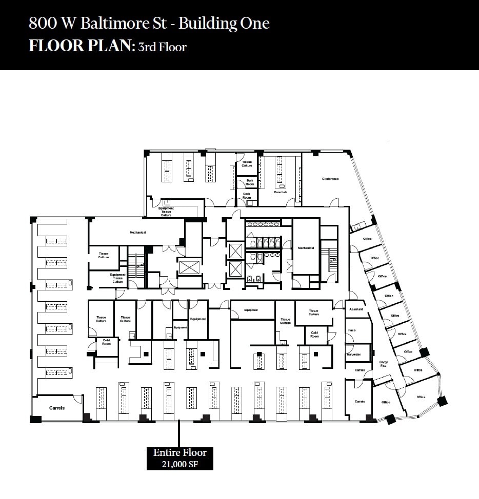 800 W Baltimore St, Baltimore, MD à louer Plan d’étage- Image 1 de 1