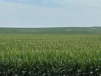 Plus de détails pour E 152nd S st, Lynnville, IA - Terrain à vendre