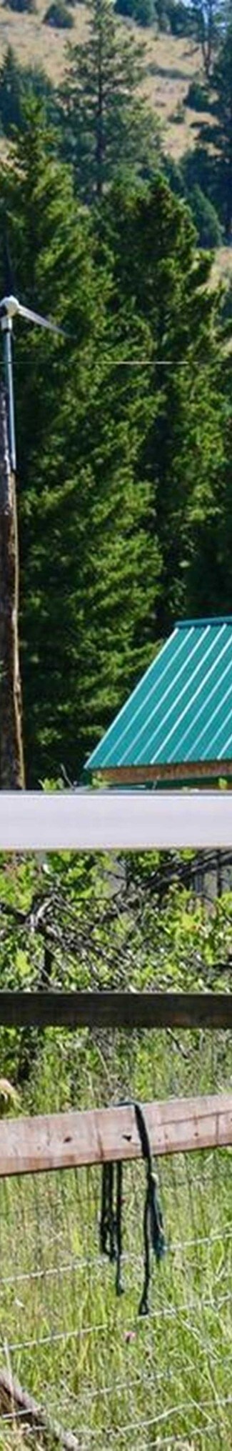 Plus de détails pour 338 Bear Gulch Rd, Drummond, MT - Terrain à vendre