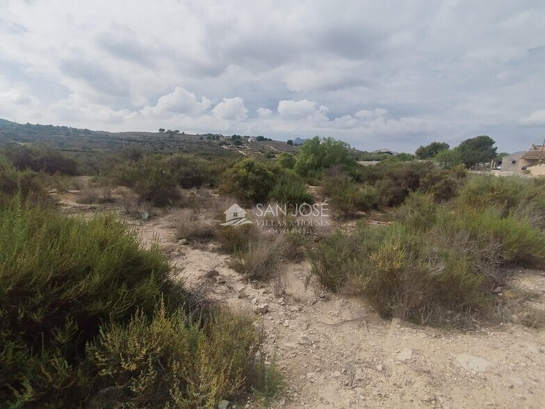 Land in Aspe, Alicante for sale - Primary Photo - Image 2 of 6