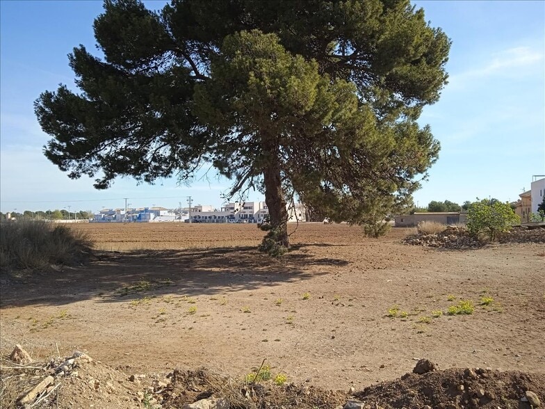 Ua U, Ua Uag, 6, Murcia, Murcia for lease - Building Photo - Image 3 of 17
