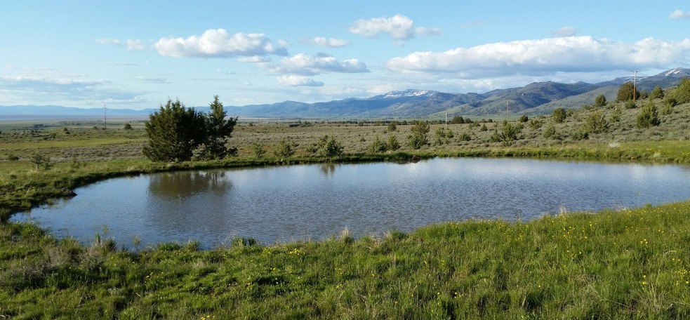 0 Highway 395, Davis Creek, CA for sale - Primary Photo - Image 1 of 1