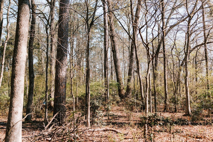 1283 Cedar Shoals dr, Athens, GA for sale - Building Photo - Image 2 of 15