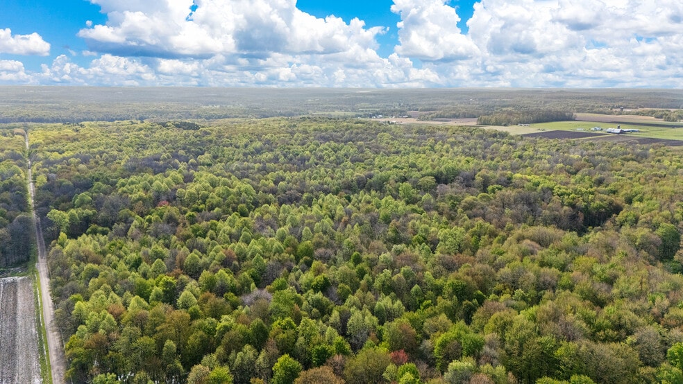 2851 Pine Rd, Atlantic, PA for sale - Aerial - Image 3 of 15