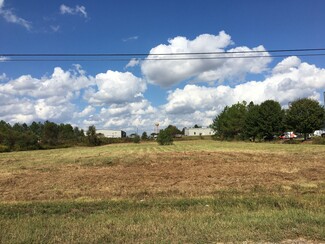 More details for Peoples Road, Madison, AL - Land for Sale