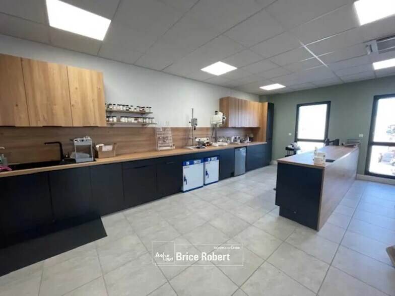 Flex dans Décines-Charpieu à louer - Photo intérieure - Image 3 de 89