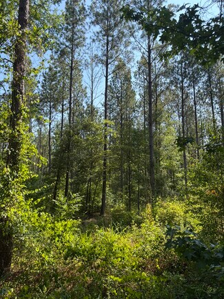 Plus de détails pour 00 Everett Chappell Rd, Mount Gilead, NC - Terrain à vendre