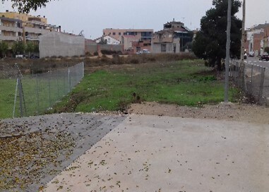 Avinguda de Catalunya, 147, Alcarràs, Lérida à vendre Autre- Image 1 de 2