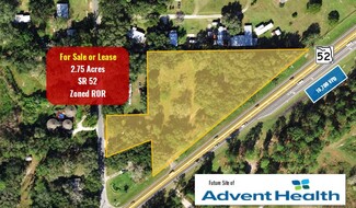 More details for 31157 State Road 52, San Antonio, FL - Land for Sale