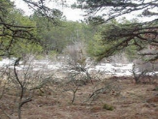 More details for 349 Old King's Hwy, Wellfleet, MA - Land for Sale