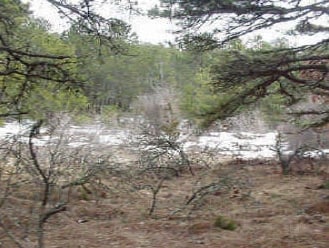 349 Old King's Hwy, Wellfleet, MA for sale Primary Photo- Image 1 of 3