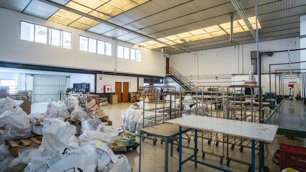 Industrial in Elda for lease - Interior Photo - Image 2 of 23