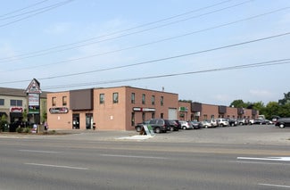 Plus de détails pour 885 Main St E, Milton, ON - Industriel à vendre