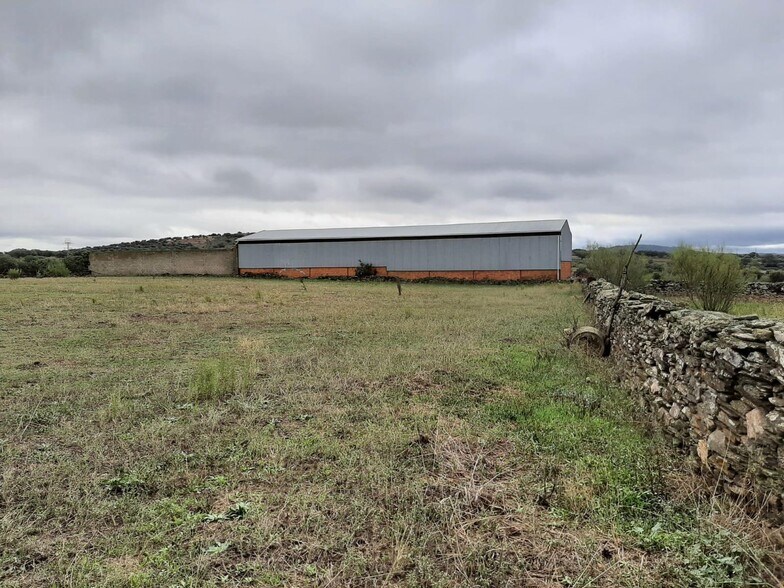 Land in Torremocha, Cáceres for sale - Primary Photo - Image 3 of 7