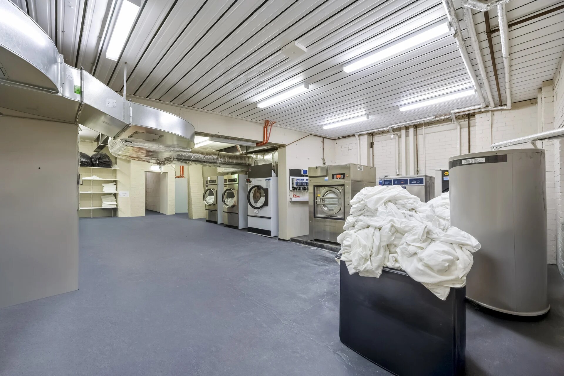 22 Fred St, Lilyfield for lease Interior Photo- Image 1 of 5