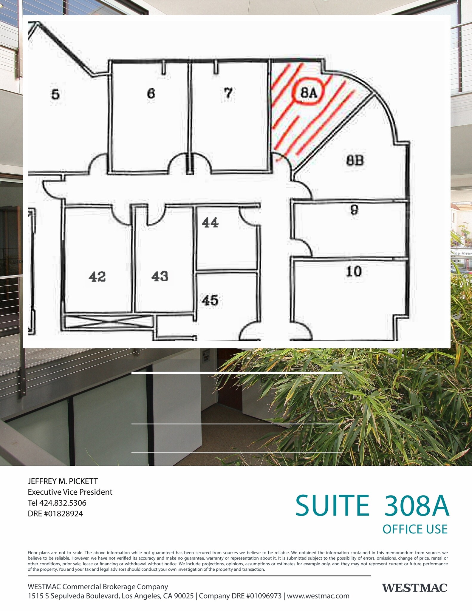 12304 Santa Monica Blvd, Los Angeles, CA à louer Plan d’étage- Image 1 de 1