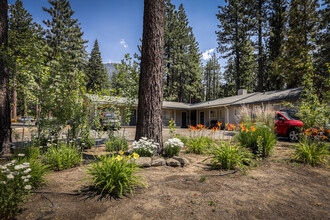 3816 Pioneer Trl, South Lake Tahoe, CA - AERIAL  map view