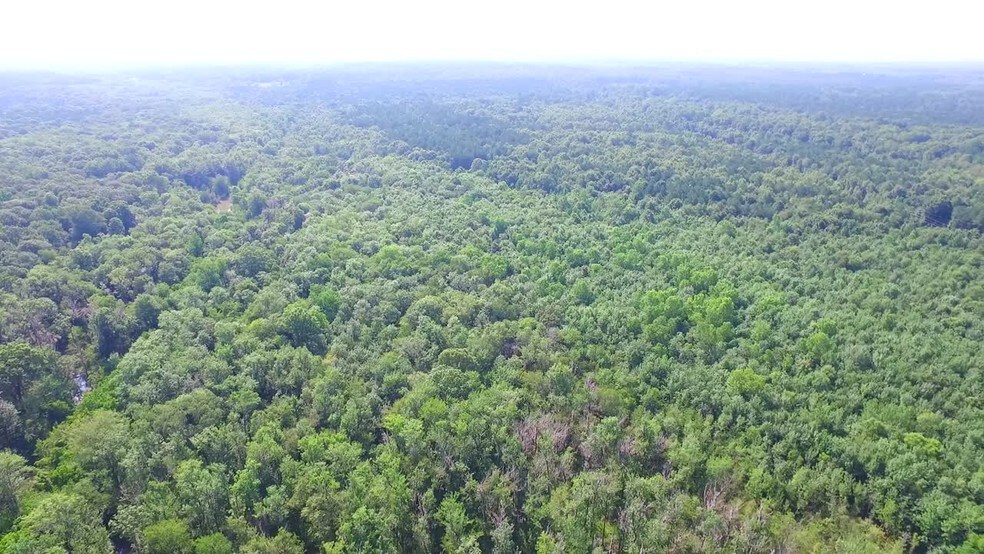 Taylor Rd & Highway 231, Montgomery, AL for sale - Commercial Listing Video - Image 2 of 5