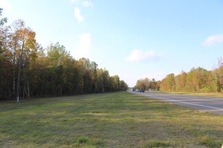 More details for 243 Bell Grayson Road Rd, Demopolis, AL - Land for Sale