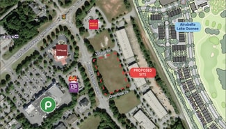 Plus de détails pour Linger Longer Rd & Village Dr, Greensboro, GA - Terrain à louer