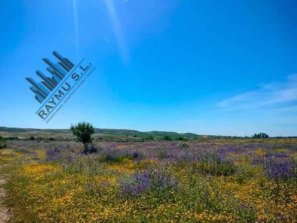Land in Fresno de Torote, Madrid for sale Primary Photo- Image 1 of 6