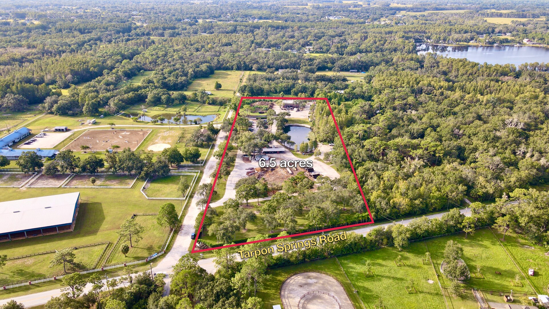 11602 Tarpon Springs Rd, Odessa, FL à vendre Photo principale- Image 1 de 1