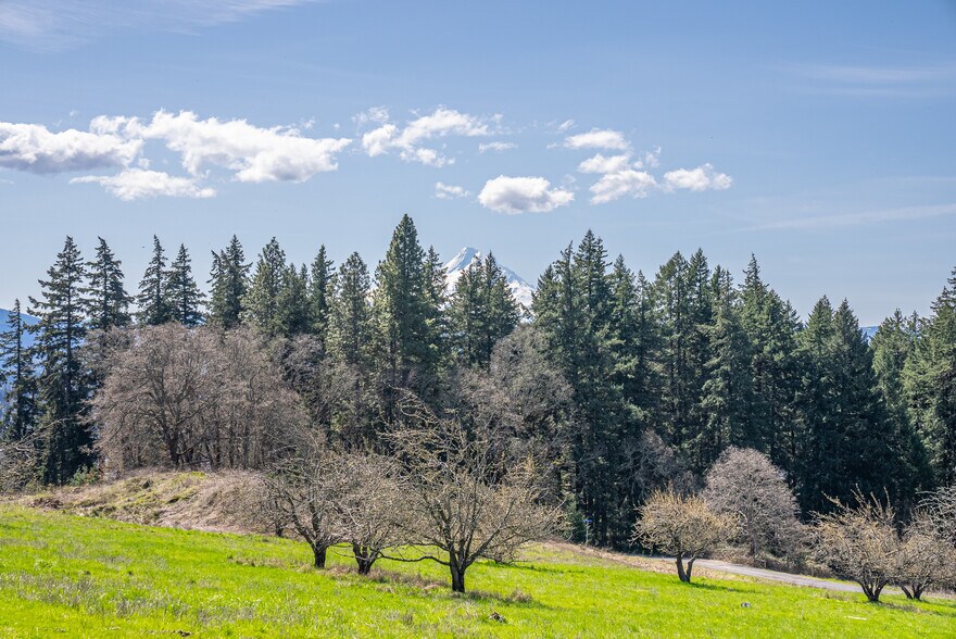 SW Cherry Blossom Lane, White Salmon, WA à vendre - Photo du bâtiment - Image 3 de 11