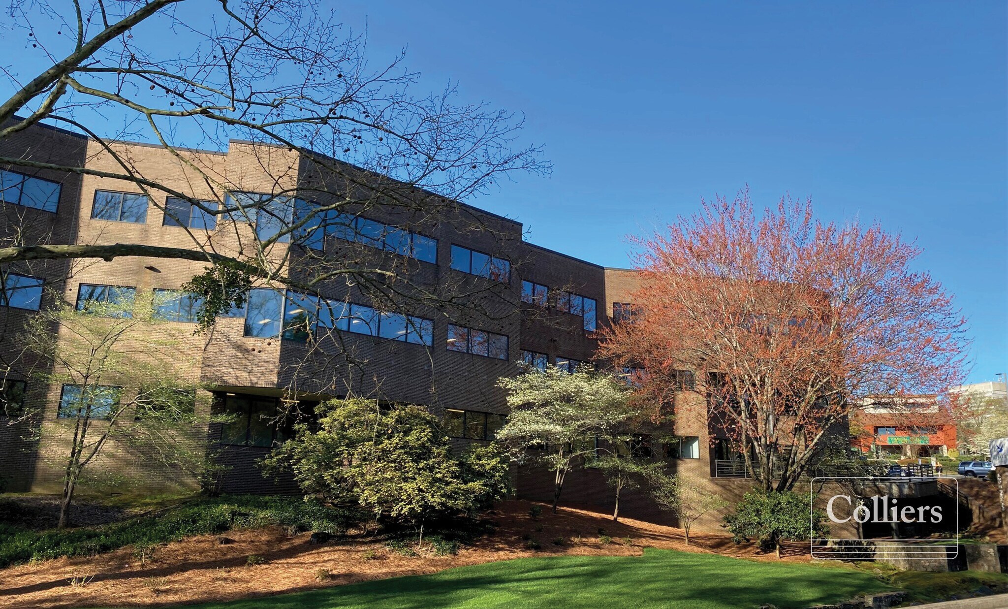 420 E Park Ave, Greenville, SC for lease Primary Photo- Image 1 of 9