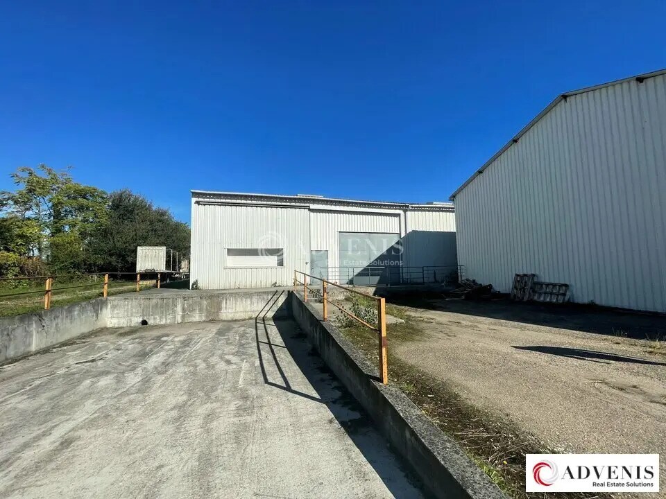 Flex in VILLENAVE-D'ORNON for lease Building Photo- Image 1 of 13