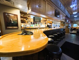 Plus de détails pour 20400 E Austin Rd, Manchester, MI - Commerce de détail à vendre