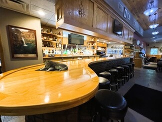 More details for 20400 E Austin Rd, Manchester, MI - Retail for Sale