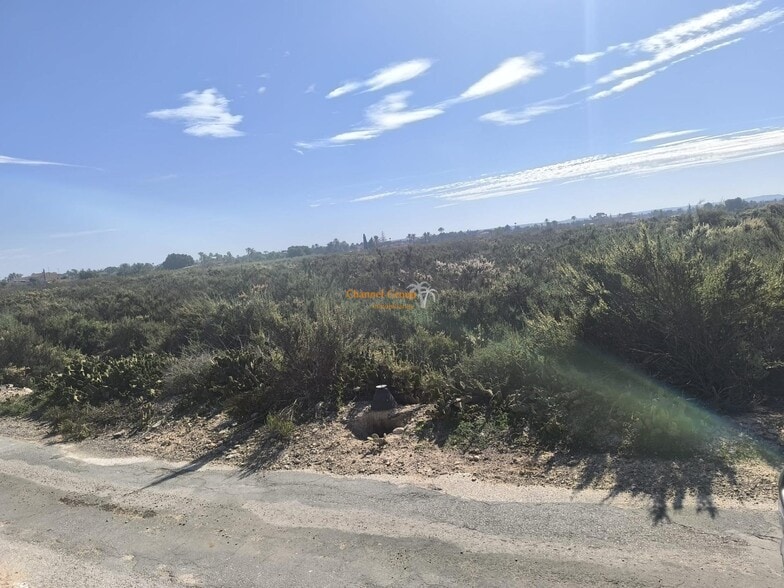 Land in Elche, Alicante for sale - Primary Photo - Image 1 of 4