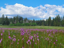 Mitchell's Mountain Meadows - Emplacement de mariage